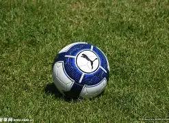 马龙奋斗瞬,间短片触全,网泪点,世界杯竞猜,2026世界杯,竞猜技巧,投注策略,赛事分析