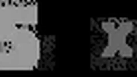 热刺财务报告解读：列维强调主帅力夺欧联冠军目标